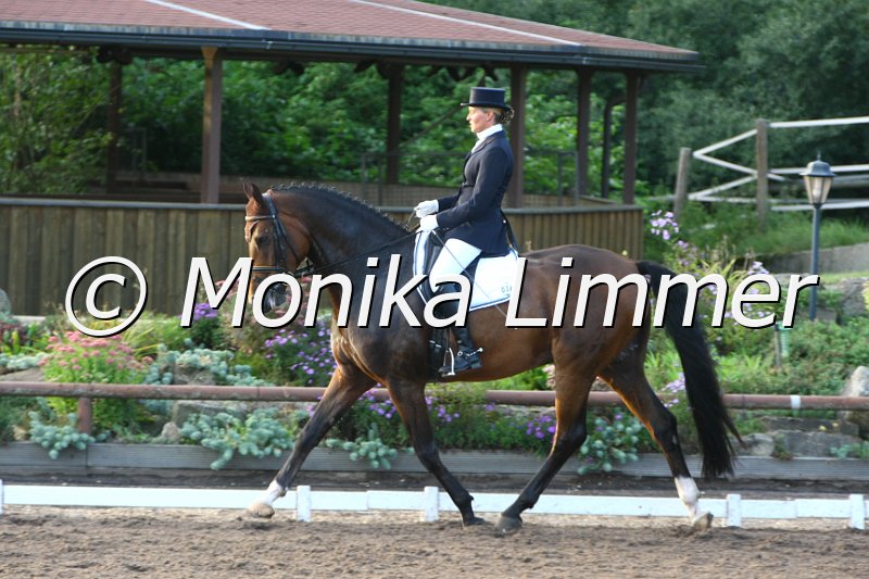 109M5210_Clever Boy KR_Dressurpferde M.JPG